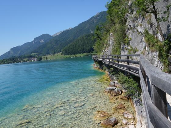 Bürgl Panoramaweg zwischen Wolfgangsee und Felswand