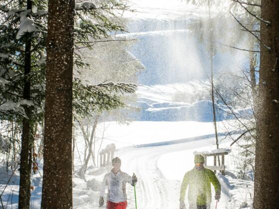 Langlaufen Tiefbrunnau (c) Fuschlseeregion - Erber