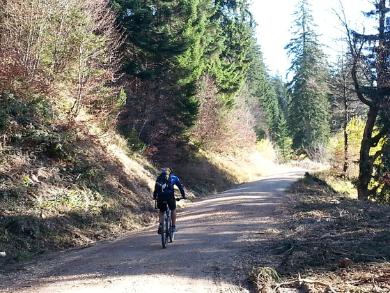 In Inzell gehts auch rasant bergauf.