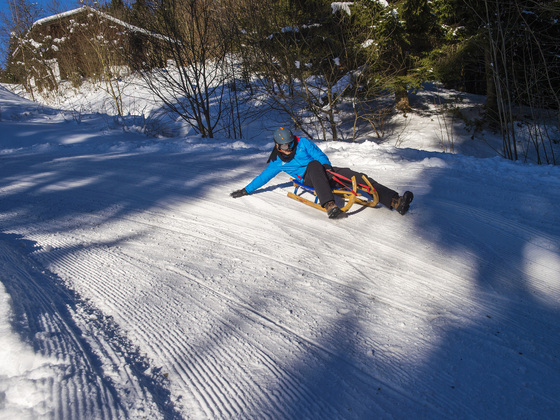Rodler Winterrodelbahn Hocheck