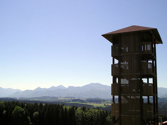 Herrlicher Blick vom 16-Meter hohen Aussichtsturm auf die Alpen.