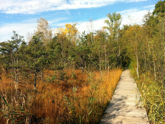 Wanderung durch das BurgerMoos