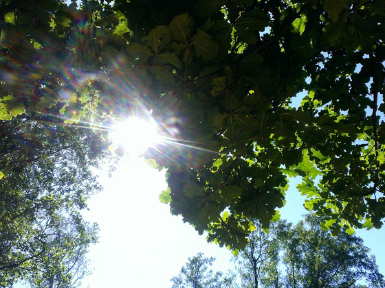 kleiner Kurpark Prien am Chiemsee