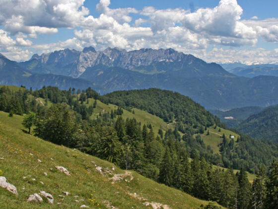 Himmelmoos Alm Brünnstein mit Kaisergebirge