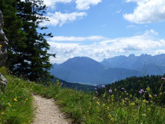 Zwischen Groß-Alm und Brünnsteinhaus