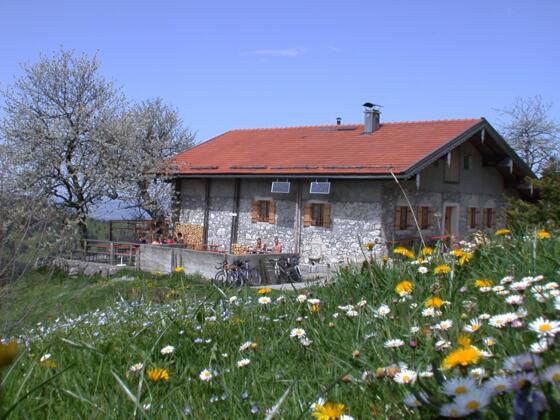 Frühling auf der Wagner Alm