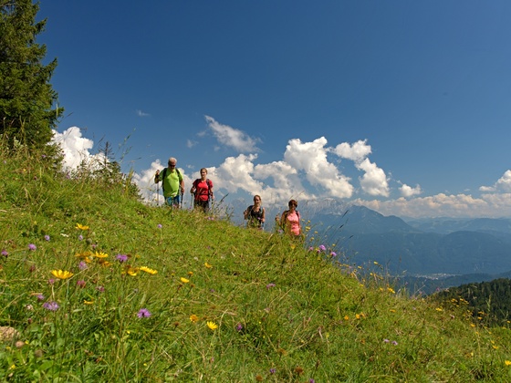 Wandern im Brünnsteingebiet