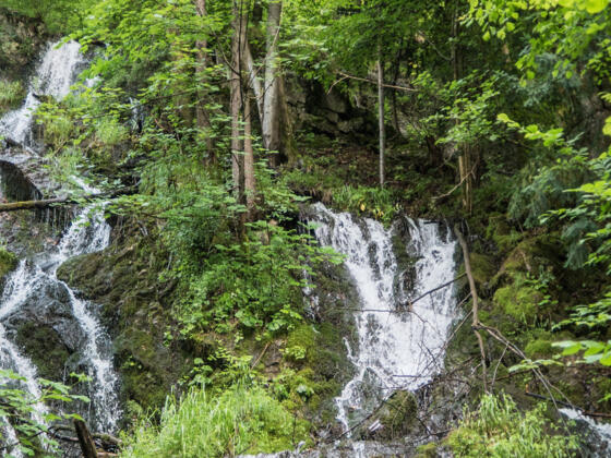 Hechtsee Abfluss - Station 12 Kieferer Energiewanderweg