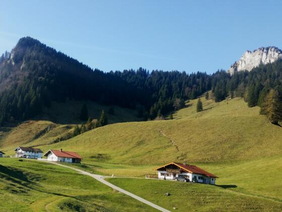 Daffnerwald Almen unterhalb der Wasserwand