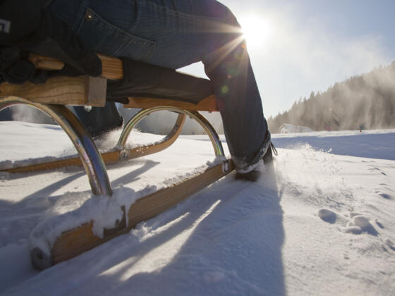 Rodelspaß im Chiemsee-Alpenland
