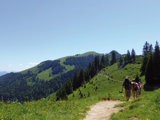 Aufstieg von der Rosengasse zum Brünnsteinhaus