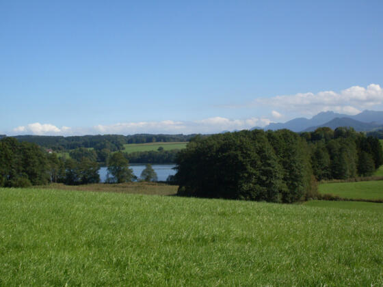 Blick auf den Tinninger See