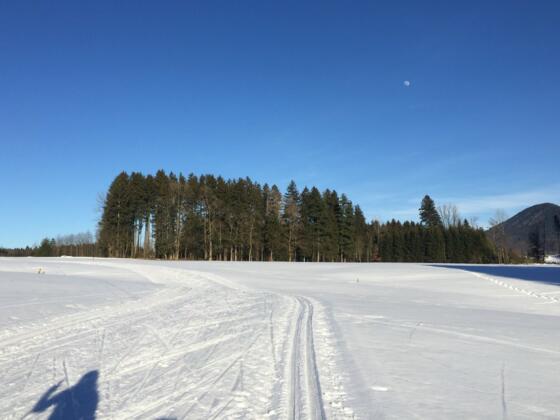 Loipenparadies Samerberg