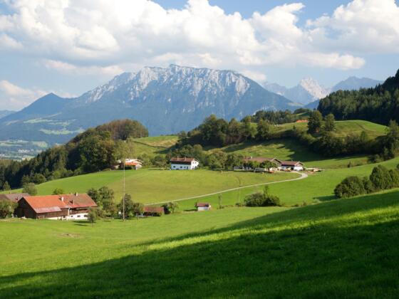 Aussicht Rundweg Kleinberg bei Grub auf das Kaisergebirge