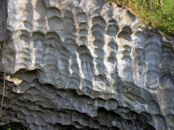 Mühlsteinbruch in Hinterhör