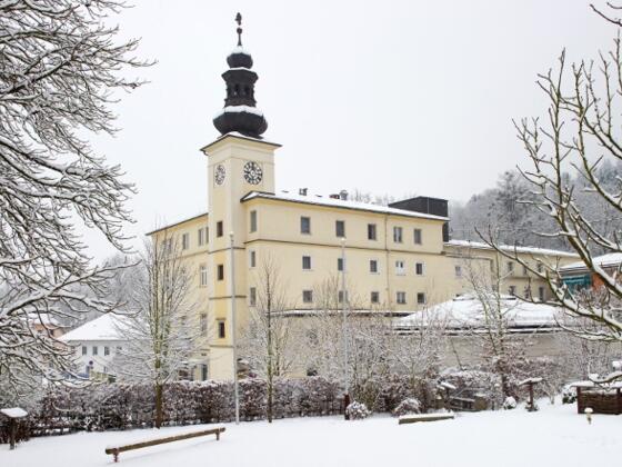 Winterzauber in Bad Mühllacken