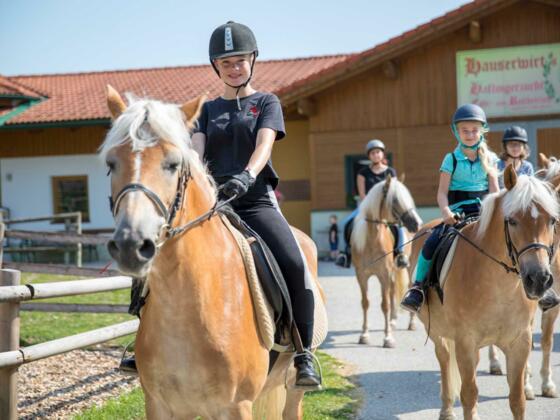 Kinder beim Ausreiten mit den Haflingerpferden
