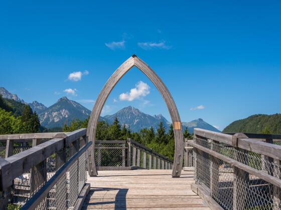 Baumkronenweg Ziegelwies
