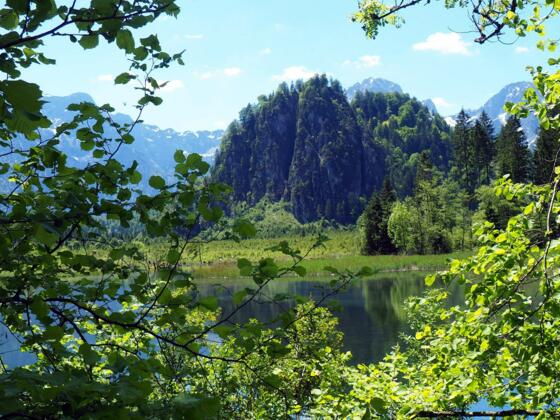 Ameisstein 776m vom Ostufer des Almsees