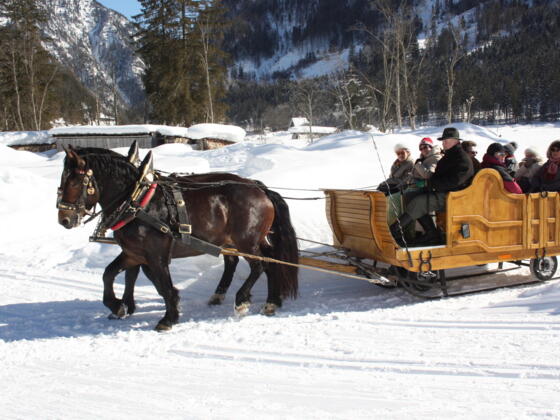 Pferdeschlittenfahrt in Gosau