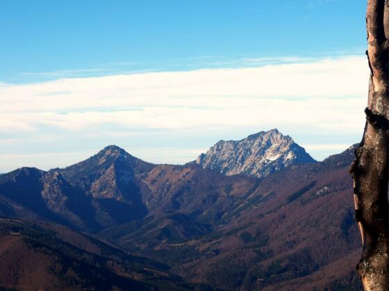 Farrenaubühel 1287m mit Traunsteinblick