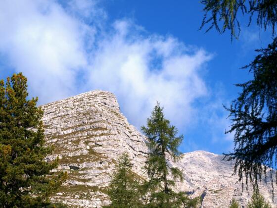 Widerlechnerstein 2110m