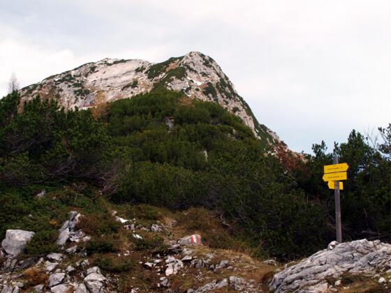 Hochsengs 1838m vom Sattel gesehen