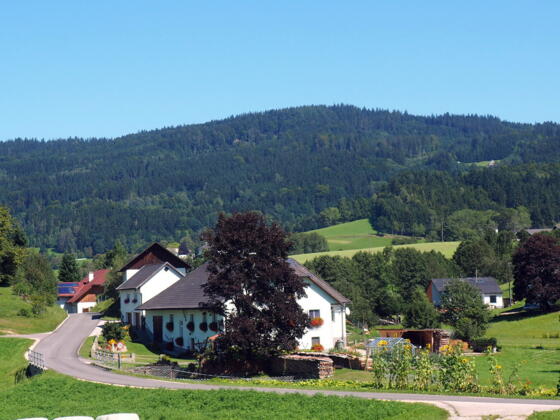 Traberg 953 m, Höf im Vordergrund