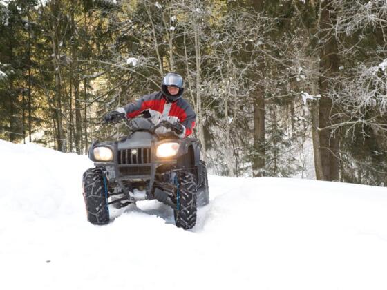 Ganzjahres High Speed Spaß in Viehofen