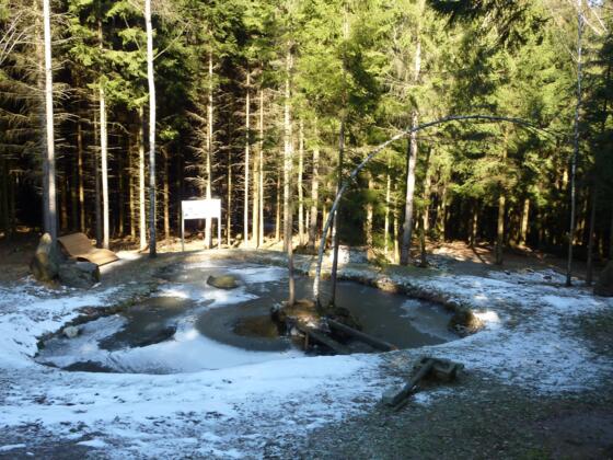 Donausteigrastplatz Teich