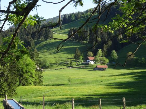Auf dem Weg zur Rachlalm