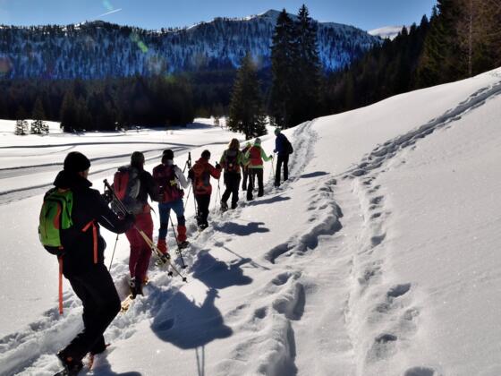 Am Anfang der Tour entlang der loipe