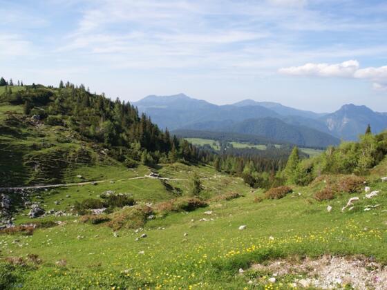 Blick zum Ende der Rundtour bzw. Weg von der Hemmersuppenalm