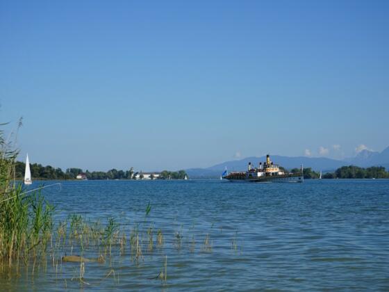 Blick auf Fraueninsel von Urfahrn