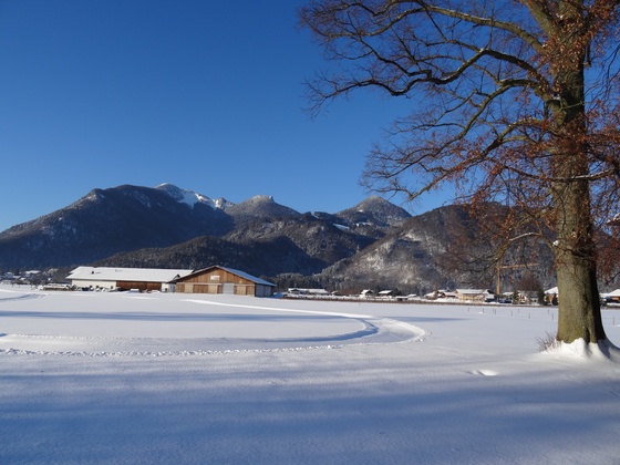 Bergwiesen Loipe Grassau