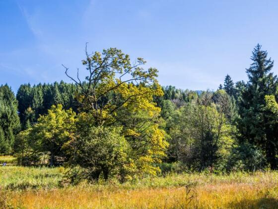 Radeln rund um Pfaffing