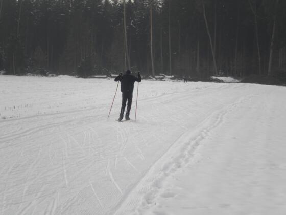 Langlauf in Zellerreit