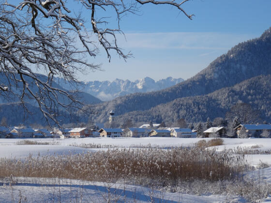 Grassauer Golfplatz Loipe