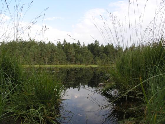 &quot;Grundloser See&quot; bei Gstadt