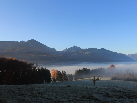 Morgenstimmung Holzhausen Richtung bergen