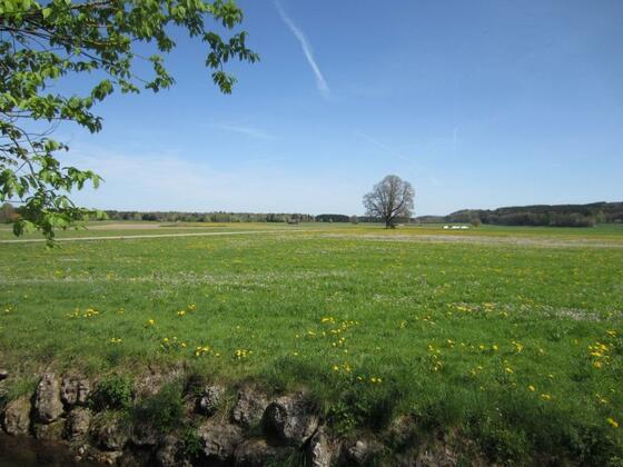 Weite Blicke über blühende Wiesen