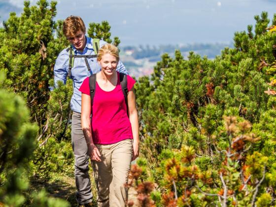 Auf dem Weg zum Hochplattengipfel