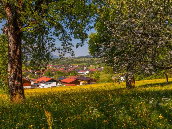 Blick auf reit im Winkl