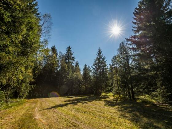 Radeln rund um Pfaffing