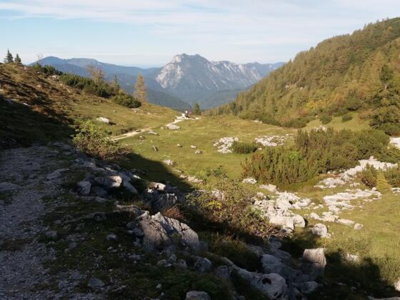 Hier fast ebener Steig hinter der Steinkapelle nach Norden.