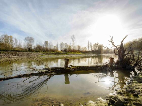 Fischwanderhilfe Ottensheim Wilhering