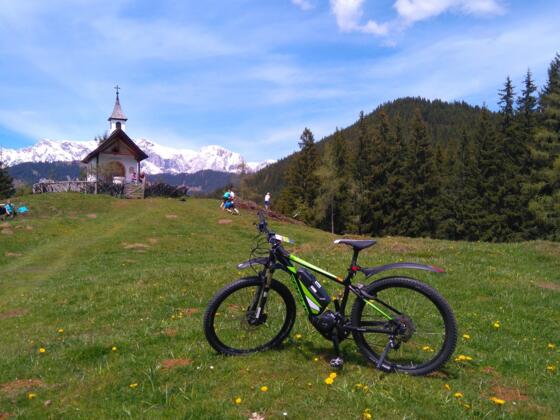 Tourismusverband Goldegg am See