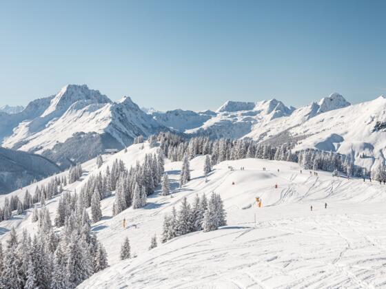 Skicircus Saalbach Hinterglemm Leogang Fieberbrunn 