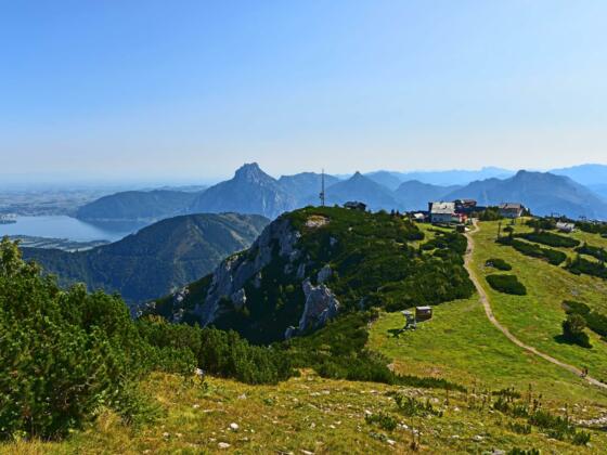 Feuerkogel-Plateau im Sommer