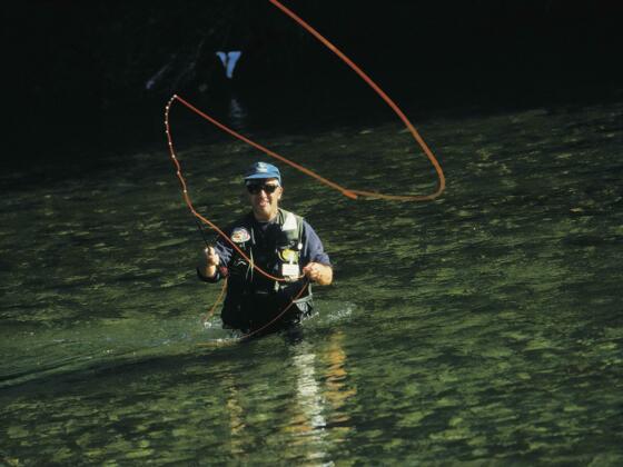 Fliegenfischen an der Traun bei Bad Ischl